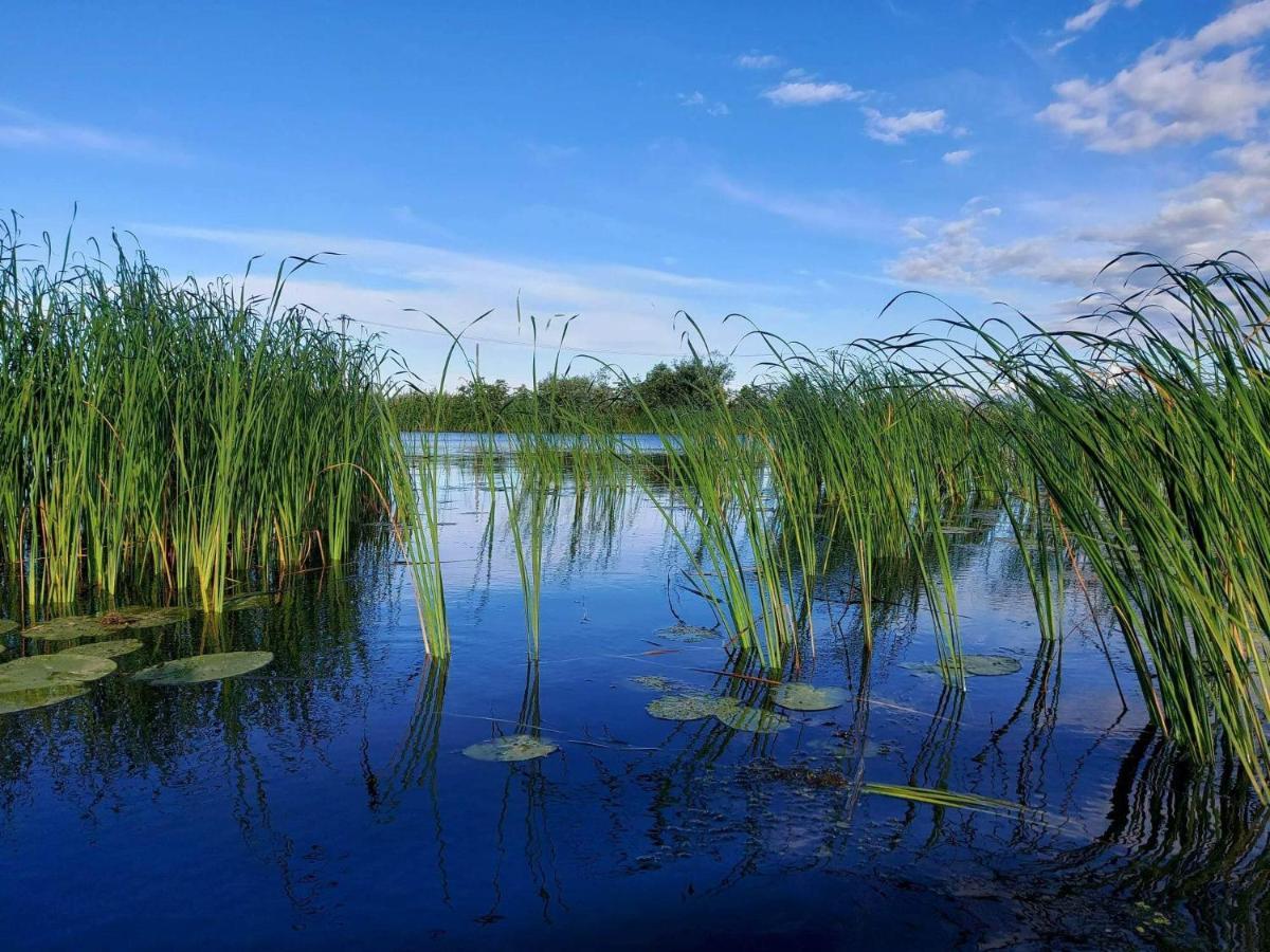 Vila Nadmorz Sztutowo Exteriér fotografie
