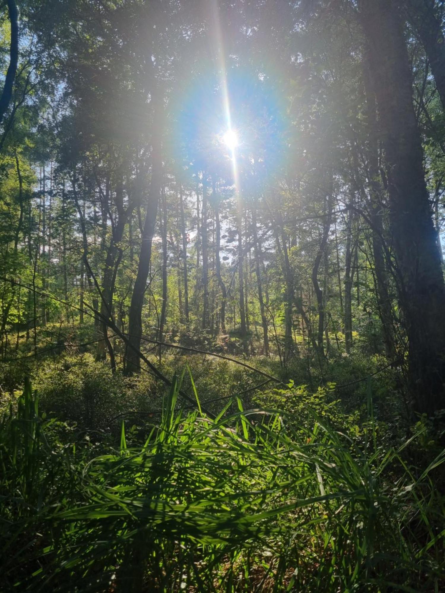Vila Nadmorz Sztutowo Exteriér fotografie